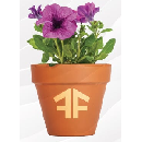 Freebie Image