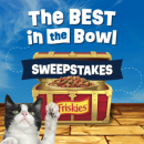 Contest Image