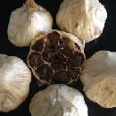 Obis One Black Garlic Sample