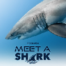 Contest Image