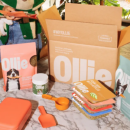 70% Off Ollie Dog Food