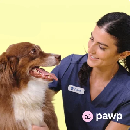 FREE Pawp Pet Care 1-Year Membership