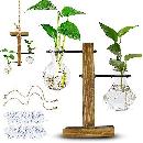 Plant Propagation Station with Stand $6.90
