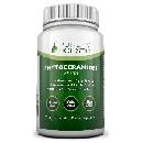 Free Phytoceramides Supplement