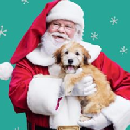 Free Photos with Santa at PetSmart