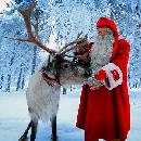 Watch Santa’s reindeer live 24/7