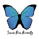 FREE set of 5 Secret Blue Butterfly Cards