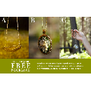 Free Shabby Apple Necklace