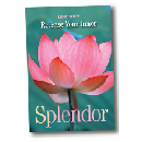 Free Lent 2012 Booklet