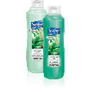 Free Suave Products at Walmart