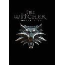 Free The Witcher: Enhanced Edition PC Game
