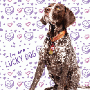 Free Valentine's Day Card from your Pet