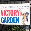Victory Garden Project Poster