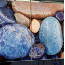 Freebie Image