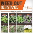 Free Know Your Weeds Poster | VonBeau