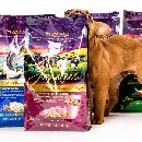 Free Zignature Dog Food Sample Pack