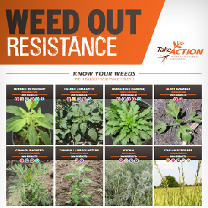 Free Know Your Weeds Poster And Herbicide Classification Poster 